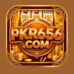 PK656 Game