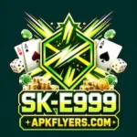 SK-E999 Game