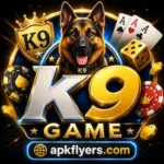K9 Game